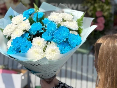 Небесные хризантемы