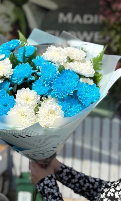 Небесные хризантемы