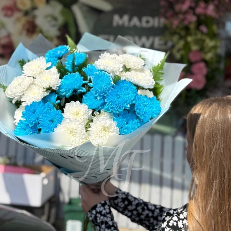 Небесные хризантемы