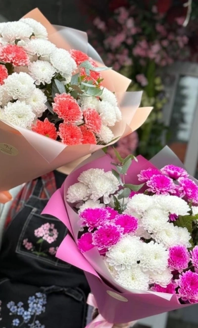 Яркая нежность хризантем