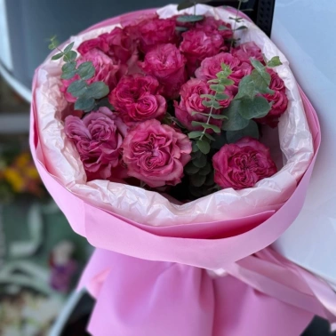 Розовый сюрприз