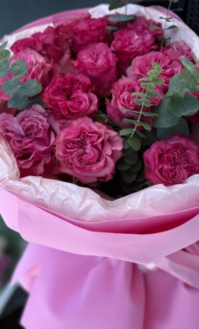 Розовый сюрприз