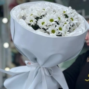 Снежное очарование 0