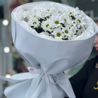 Снежное очарование