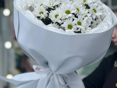 Снежное очарование