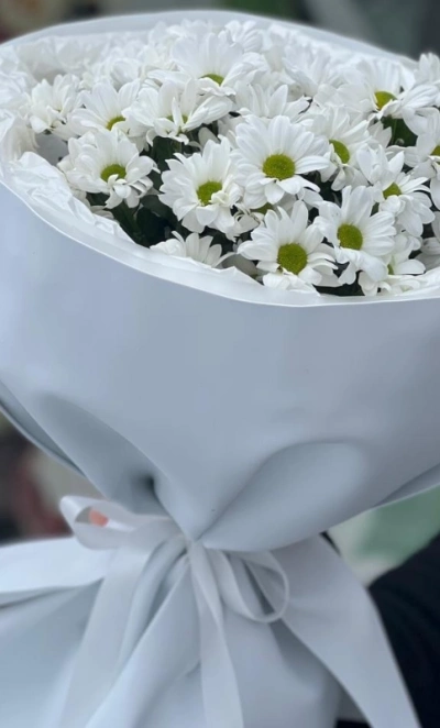 Снежное очарование