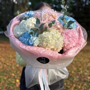 Гортензия в облаках