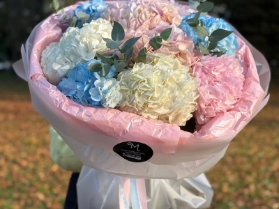 Гортензия в облаках