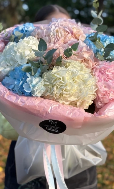 Гортензия в облаках