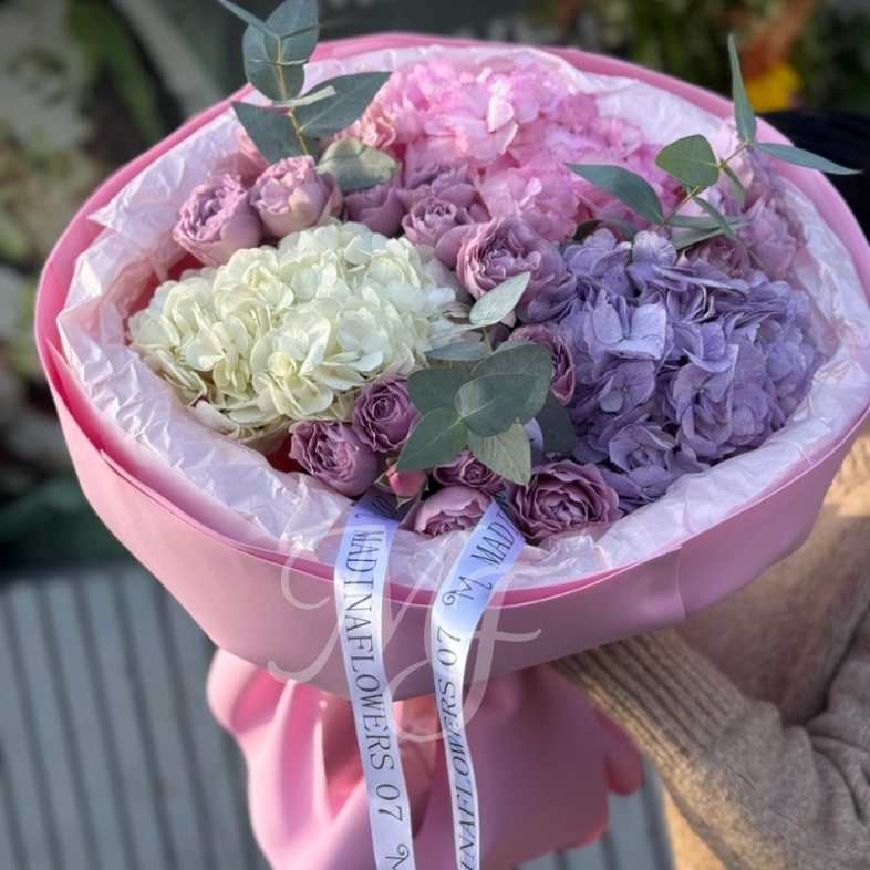 Лавандовые грёзы