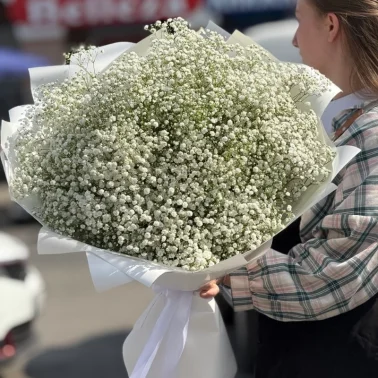 Облако невесты