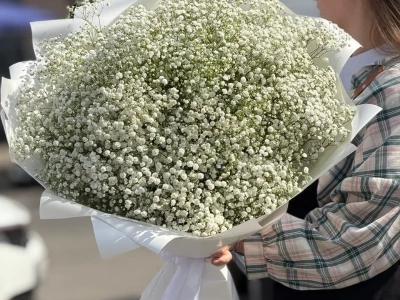 Облако невесты