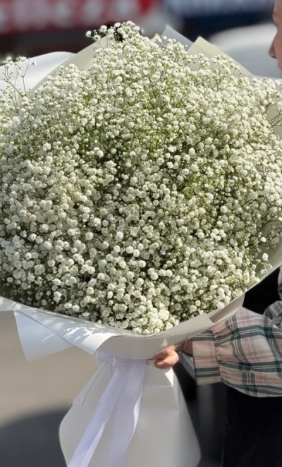 Облако невесты