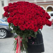 Океан страсти 0