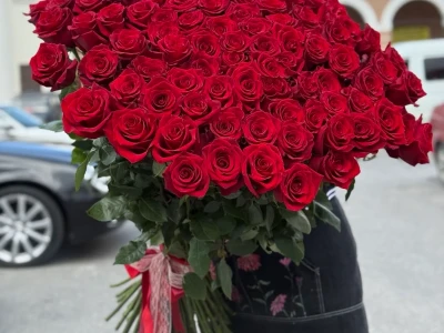 Океан страсти