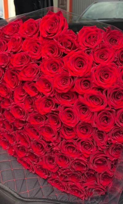 Классика роз