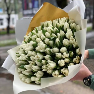 Большое очарование весны