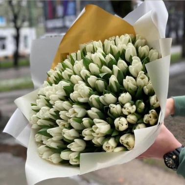 Большое очарование весны