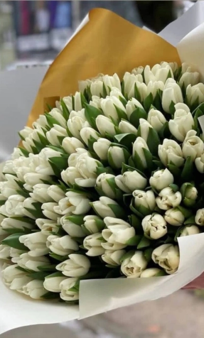 Большое очарование весны