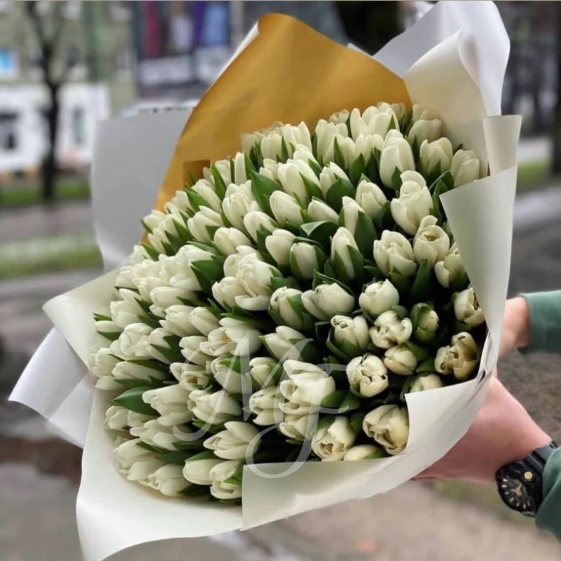 Большое очарование весны