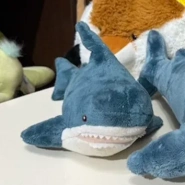 Акула маленькая 0