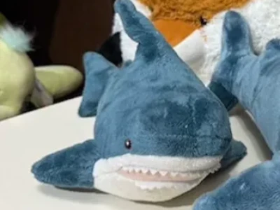 Акула маленькая