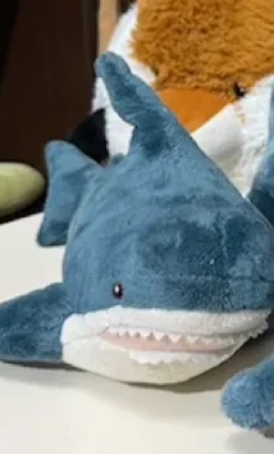 Акула маленькая